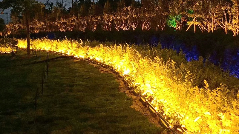 固原市機場路亮化